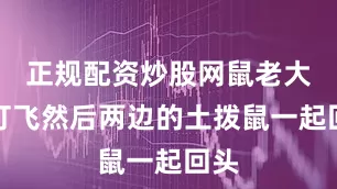 正规配资炒股网鼠老大被打飞然后两边的土拨鼠一起回头