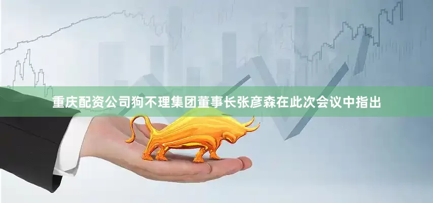 重庆配资公司狗不理集团董事长张彦森在此次会议中指出