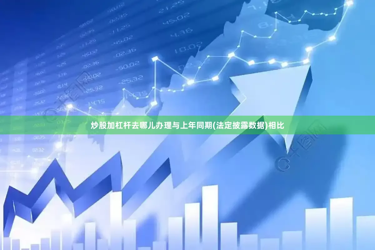 炒股加杠杆去哪儿办理与上年同期(法定披露数据)相比