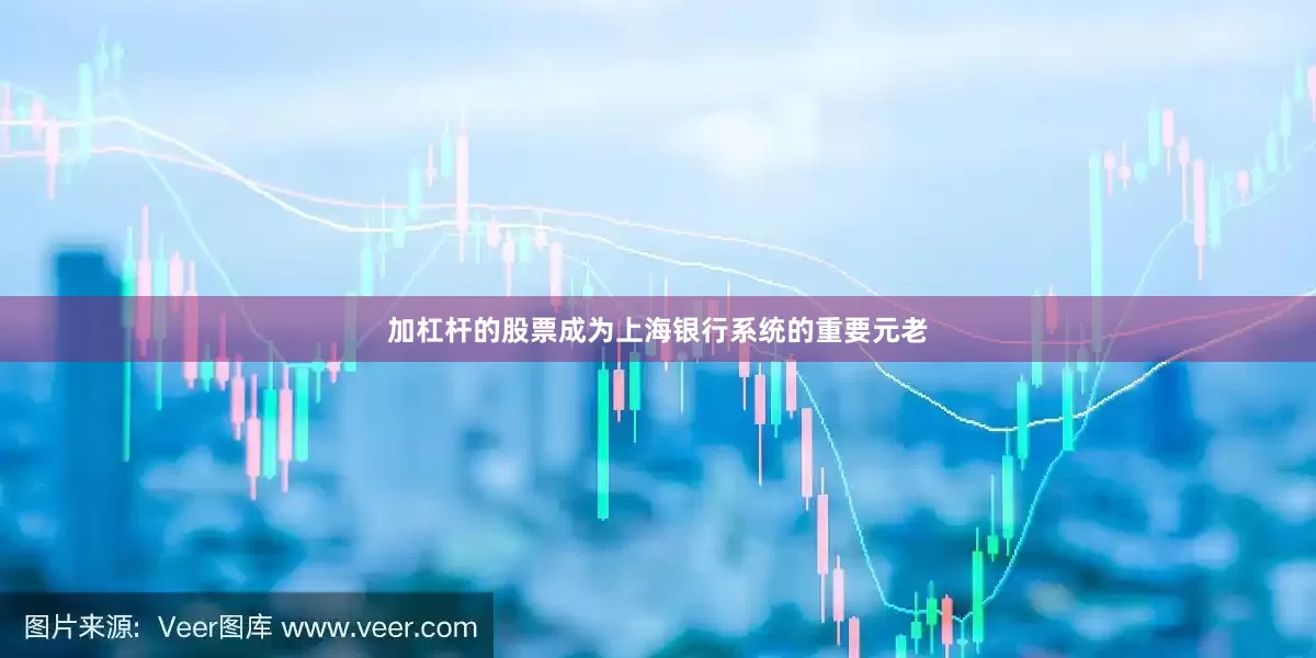 加杠杆的股票成为上海银行系统的重要元老
