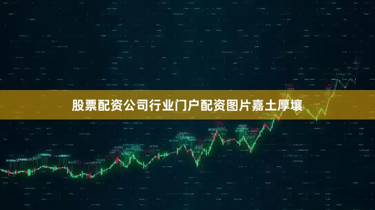 股票配资公司行业门户配资图片嘉土厚壤